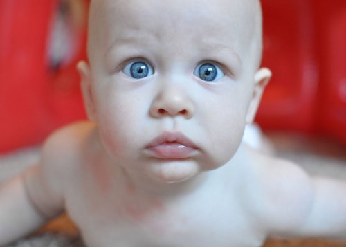 Professional Photographer in Phoenix, AZ - Green Eyed Phoenix Photography